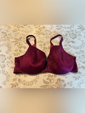 Cacique Shimmer Underwire Bra in Berry Plum